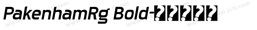 PakenhamRg Bold字体转换
